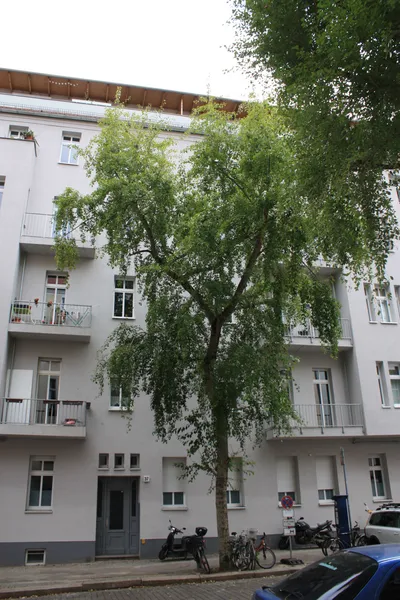 Schöne 1-Raum-Wohnung zu vermieten! — photo 1
